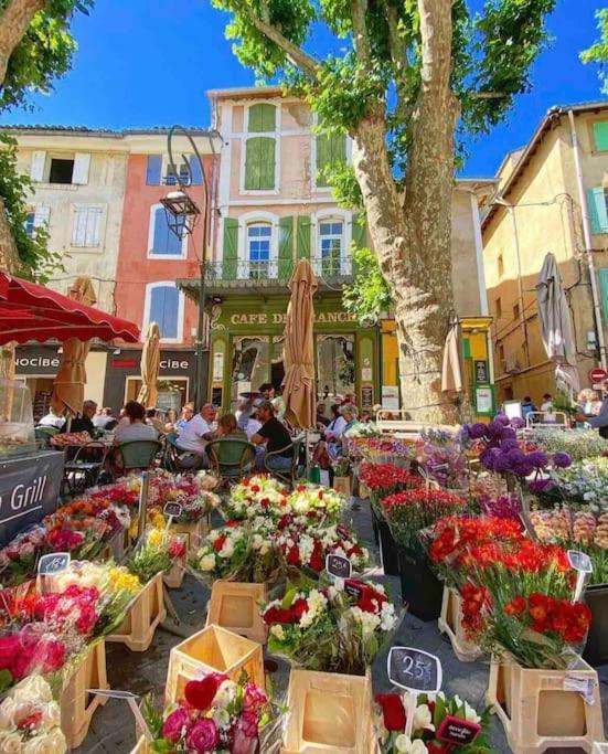La Loge Familiale: 110M2, Place Rose Goudard, Ac ลีล-ซูร์-ลา-ซอร์ก ภายนอก รูปภาพ